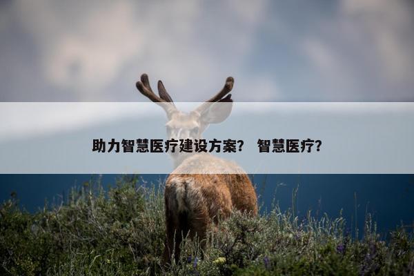 助力智慧医疗建设方案？ 智慧医疗？-第1张图片-冷动云