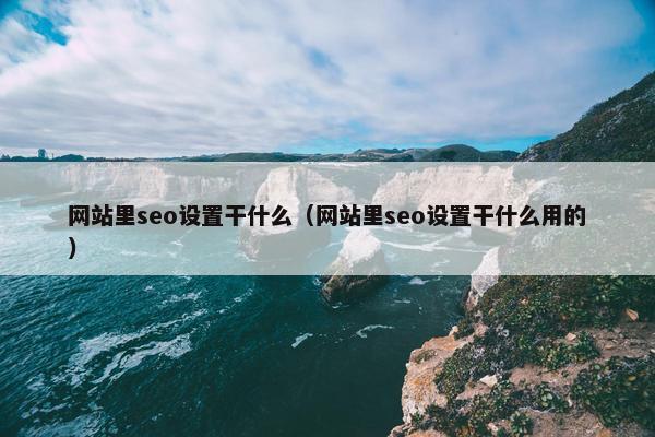 网站里seo设置干什么（网站里seo设置干什么用的）-第1张图片-冷动云