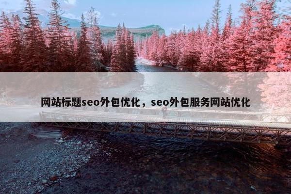 网站标题seo外包优化，seo外包服务网站优化-第1张图片-冷动云