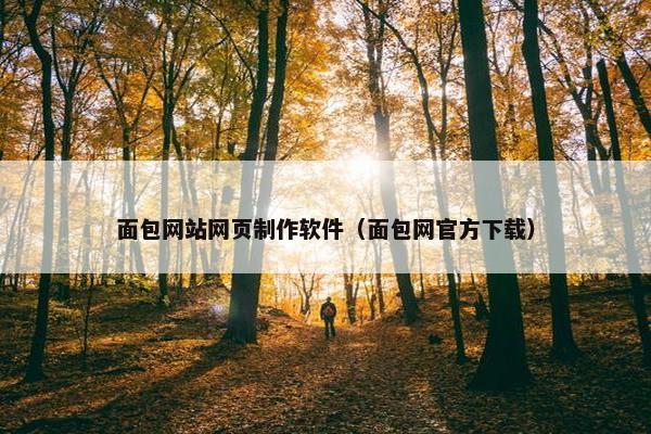面包网站网页制作软件（面包网官方下载）-第1张图片-冷动云