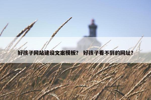 好孩子网站建设文案模板？ 好孩子看不到的网址？-第1张图片-冷动云
