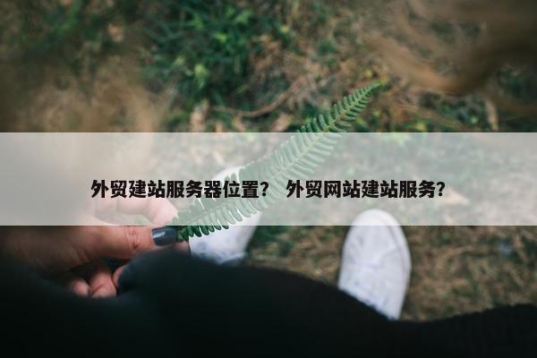 外贸建站服务器位置？ 外贸网站建站服务？-第1张图片-冷动云
