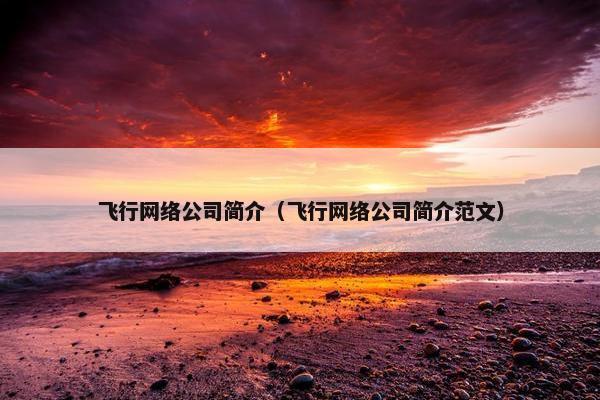 飞行网络公司简介（飞行网络公司简介范文）-第1张图片-冷动云