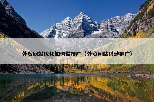 外贸网站优化如何做推广（外贸网站搭建推广）-第1张图片-冷动云