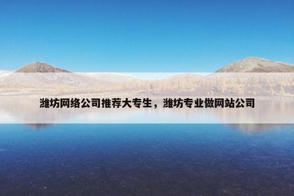 潍坊网络公司推荐大专生，潍坊专业做网站公司-第1张图片-冷动云