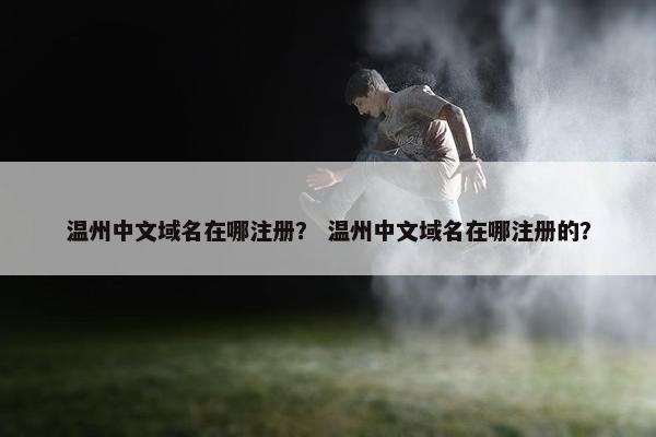 温州中文域名在哪注册？ 温州中文域名在哪注册的？-第1张图片-冷动云
