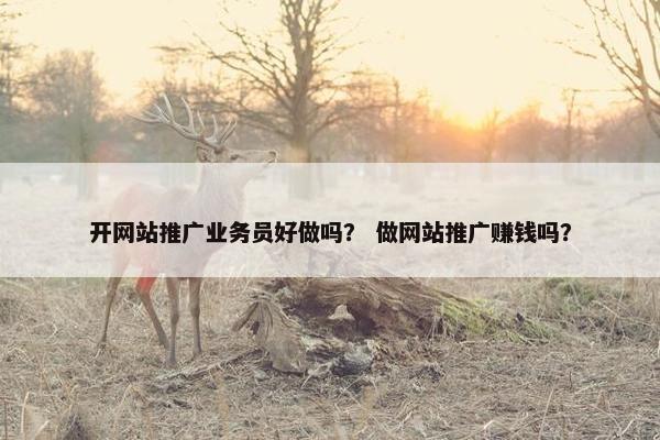 开网站推广业务员好做吗？ 做网站推广赚钱吗？-第1张图片-冷动云