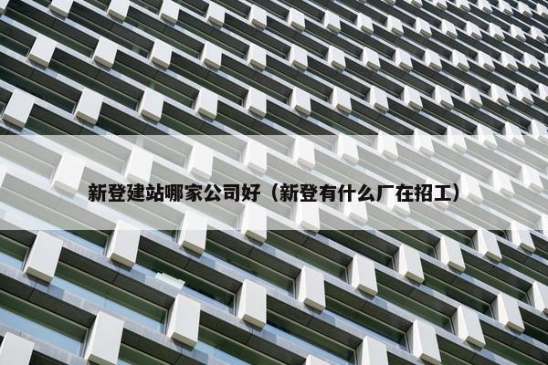 新登建站哪家公司好（新登有什么厂在招工）-第1张图片-冷动云