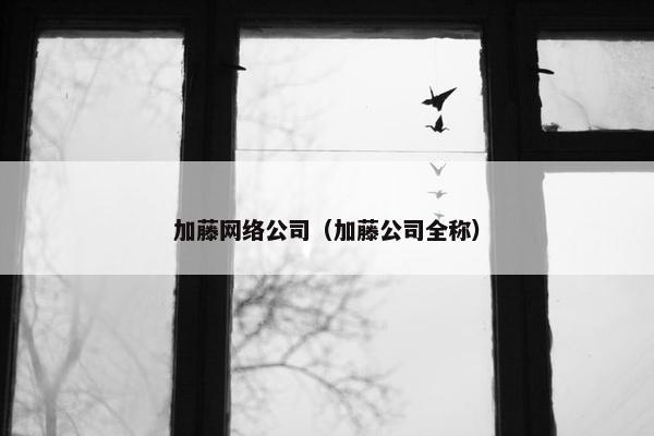 加藤网络公司（加藤公司全称）-第1张图片-冷动云