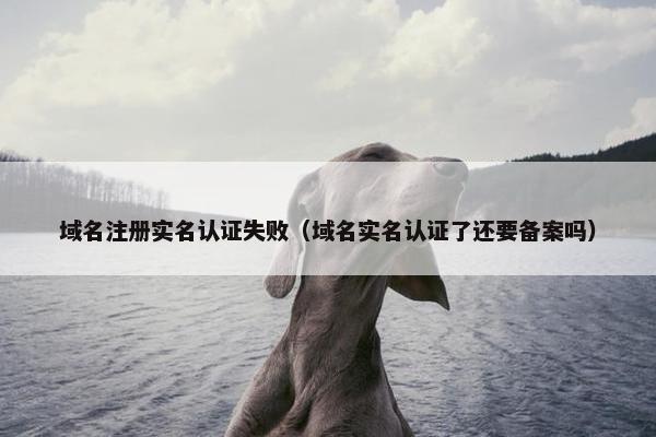 域名注册实名认证失败（域名实名认证了还要备案吗）-第1张图片-冷动云