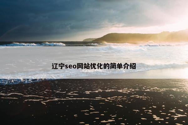 辽宁seo网站优化的简单介绍-第1张图片-冷动云