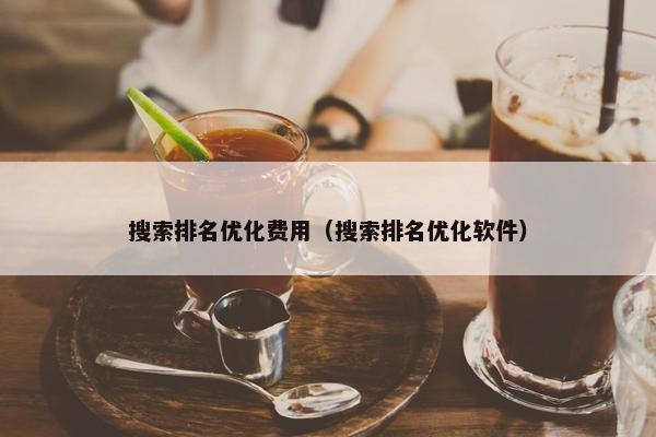 搜索排名优化费用（搜索排名优化软件）-第1张图片-冷动云