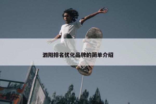 泗阳排名优化品牌的简单介绍-第1张图片-冷动云