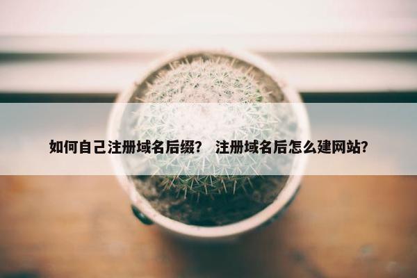 如何自己注册域名后缀？ 注册域名后怎么建网站？-第1张图片-冷动云