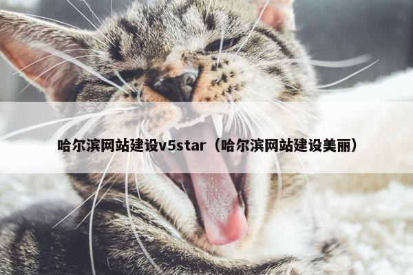 哈尔滨网站建设v5star（哈尔滨网站建设美丽）-第1张图片-冷动云