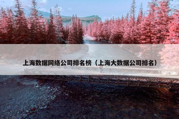 上海数据网络公司排名榜（上海大数据公司排名）-第1张图片-冷动云