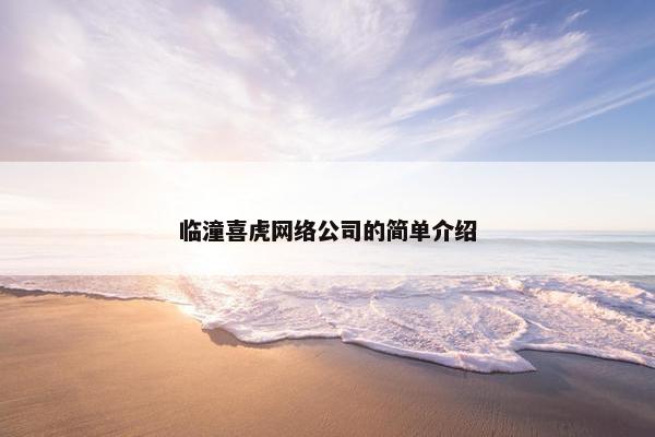 临潼喜虎网络公司的简单介绍-第1张图片-冷动云