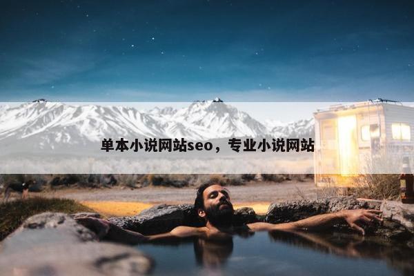 单本小说网站seo，专业小说网站-第1张图片-冷动云