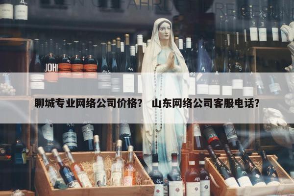 聊城专业网络公司价格？ 山东网络公司客服电话？-第1张图片-冷动云
