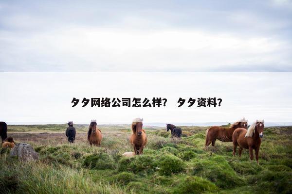 夕夕网络公司怎么样？ 夕夕资料？-第1张图片-冷动云