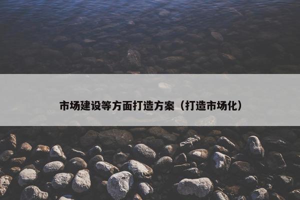 市场建设等方面打造方案（打造市场化）-第1张图片-冷动云