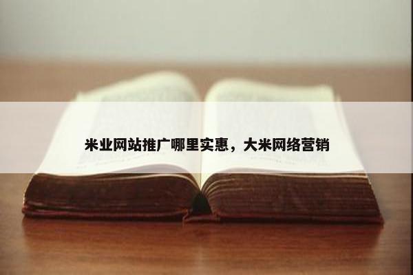 米业网站推广哪里实惠，大米网络营销-第1张图片-冷动云