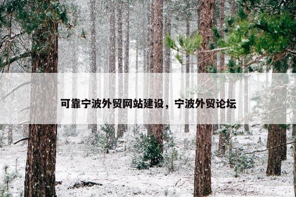 可靠宁波外贸网站建设，宁波外贸论坛-第1张图片-冷动云