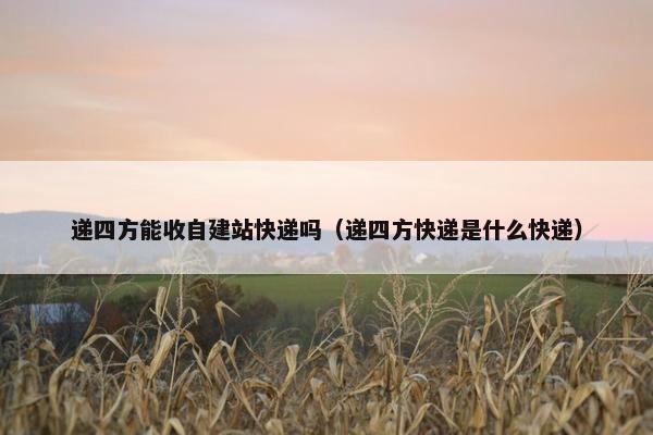 递四方能收自建站快递吗（递四方快递是什么快递）-第1张图片-冷动云