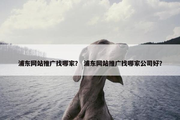 浦东网站推广找哪家？ 浦东网站推广找哪家公司好？-第1张图片-冷动云