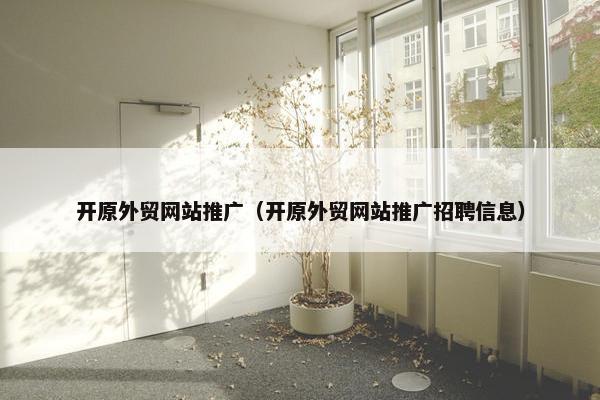开原外贸网站推广（开原外贸网站推广招聘信息）-第1张图片-冷动云