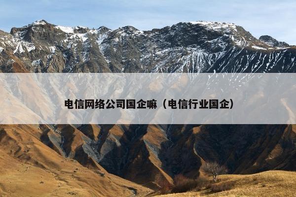 电信网络公司国企嘛（电信行业国企）-第1张图片-冷动云