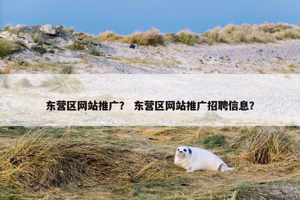 东营区网站推广？ 东营区网站推广招聘信息？-第1张图片-冷动云