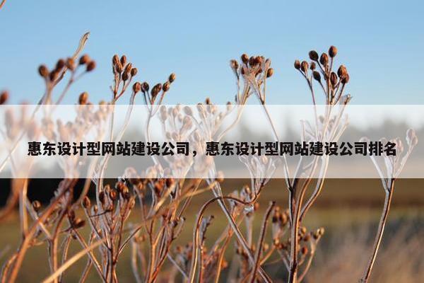 惠东设计型网站建设公司，惠东设计型网站建设公司排名-第1张图片-冷动云