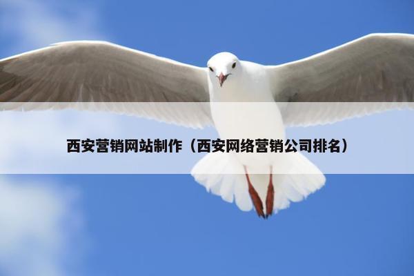 西安营销网站制作（西安网络营销公司排名）-第1张图片-冷动云