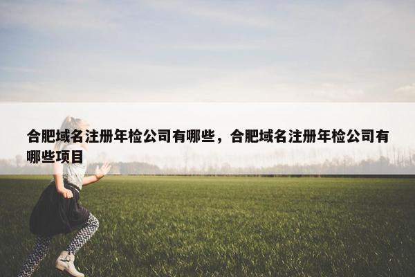 合肥域名注册年检公司有哪些，合肥域名注册年检公司有哪些项目-第1张图片-冷动云
