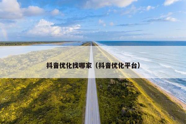 抖音优化找哪家（抖音优化平台）-第1张图片-冷动云