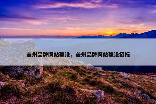 盖州品牌网站建设，盖州品牌网站建设招标-第1张图片-冷动云