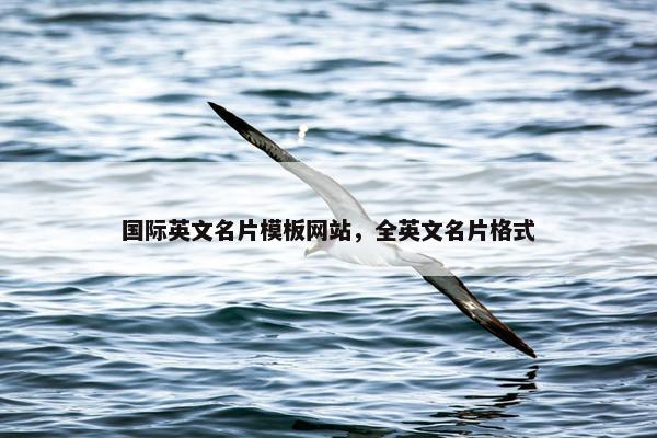 国际英文名片模板网站，全英文名片格式-第1张图片-冷动云