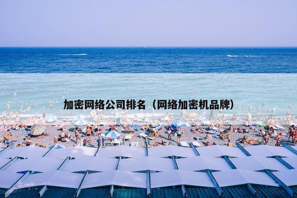 加密网络公司排名（网络加密机品牌）-第1张图片-冷动云