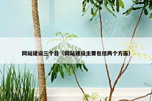 网站建设三个目（网站建设主要包括两个方面）-第1张图片-冷动云