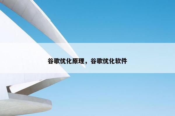 谷歌优化原理，谷歌优化软件-第1张图片-冷动云