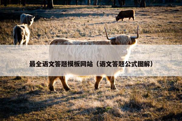 最全语文答题模板网站（语文答题公式图解）-第1张图片-冷动云
