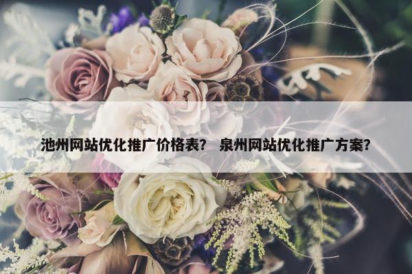 池州网站优化推广价格表？ 泉州网站优化推广方案？-第1张图片-冷动云