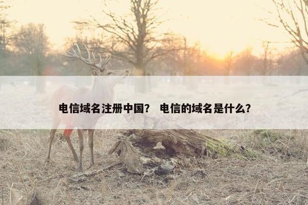 电信域名注册中国？ 电信的域名是什么？-第1张图片-冷动云