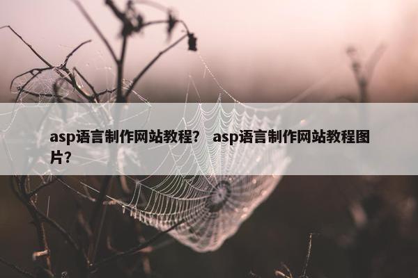 asp语言制作网站教程？ asp语言制作网站教程图片？-第1张图片-冷动云