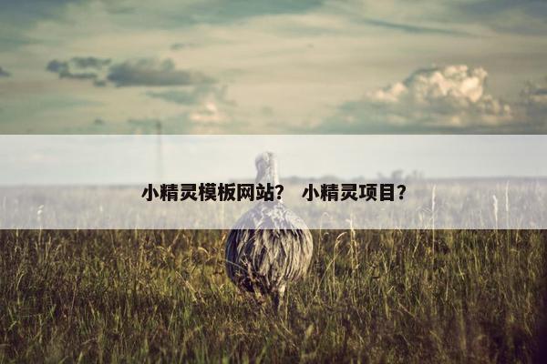 小精灵模板网站？ 小精灵项目？-第1张图片-冷动云
