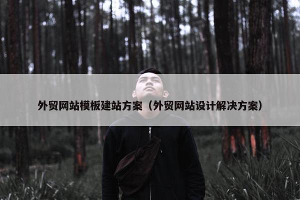 外贸网站模板建站方案（外贸网站设计解决方案）-第1张图片-冷动云