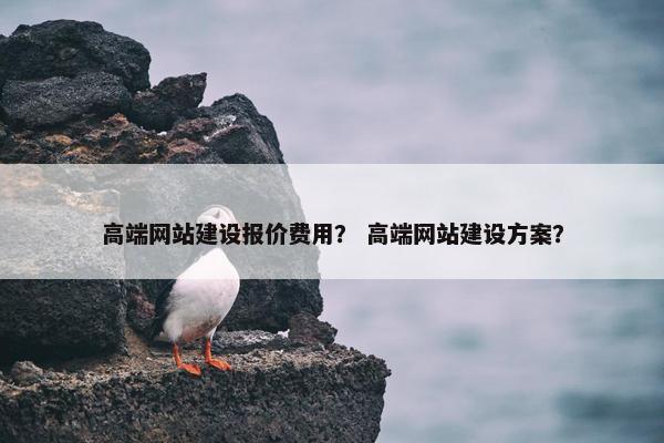 高端网站建设报价费用？ 高端网站建设方案？-第1张图片-冷动云