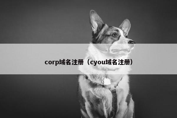 corp域名注册（cyou域名注册）-第1张图片-冷动云