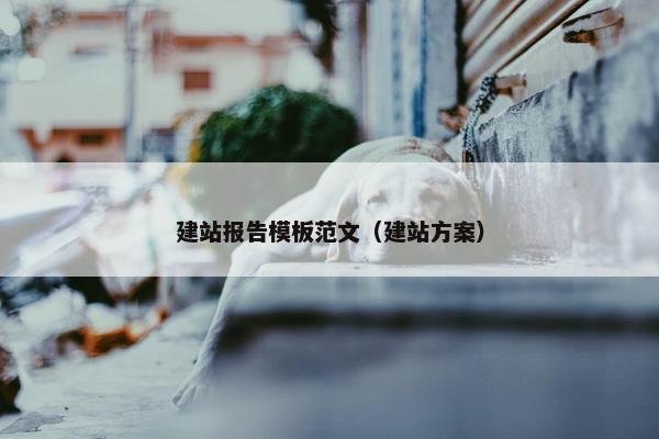 建站报告模板范文（建站方案）-第1张图片-冷动云